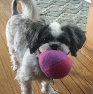 Meet your Posher, Becky